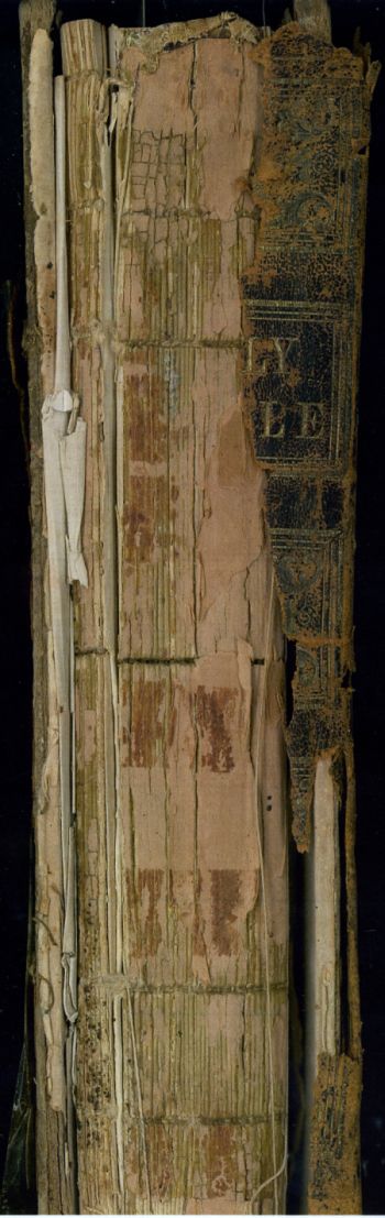 Tansey Bible Spine